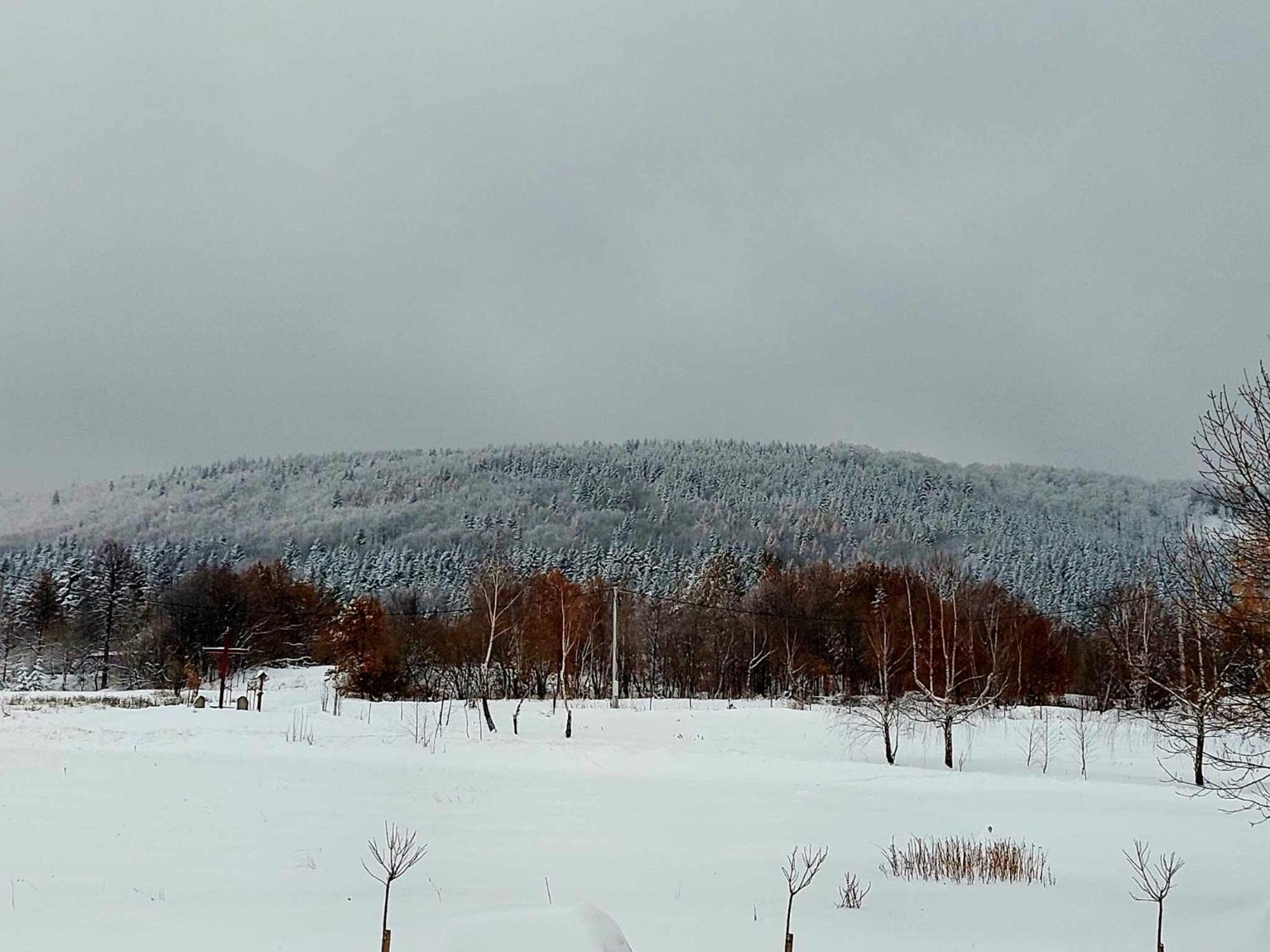 Zasankowe Wzgorze Villa Luaran gambar
